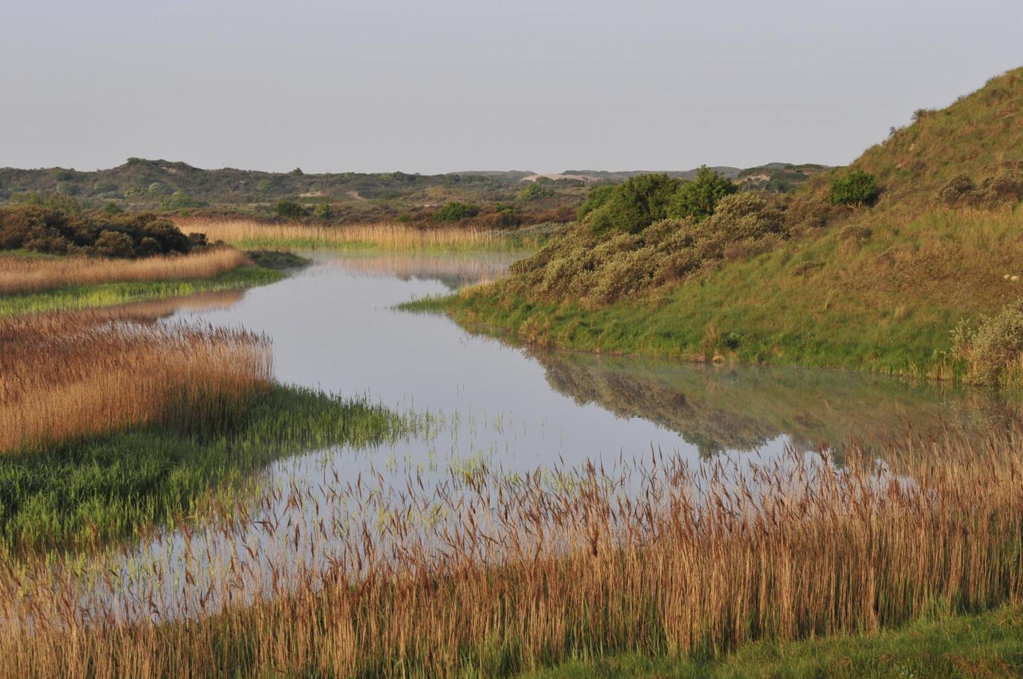 Boutique Lodge Zandvoort Luaran gambar